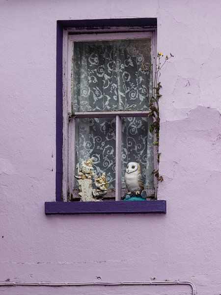 Un joyeux rebord de fenêtre. par Licht! Fotografie