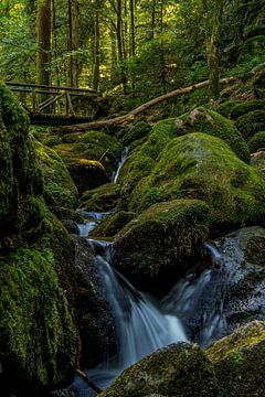 Chutes d'eau sur Samantha Rorijs