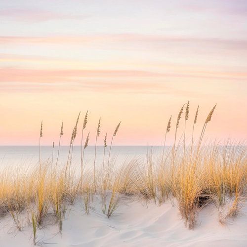 Vredig strand bij zonsondergang