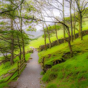 Chemin le long de la Buttermere, Angleterre.