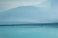 Nebel über dem See