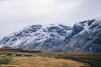 Mountains are freedom, Norway