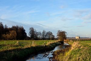 Ein Bach inmitten der Wiesen