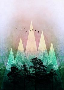 TREES under MAGIC MOUNTAINS IV