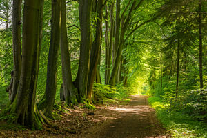 Hohe Mark, Nordrhein-Westfalen, Deutschland