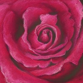 Roze roos pastel schilderij van Karen Kaspar