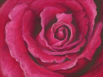 Pink Rose Pastellgemälde