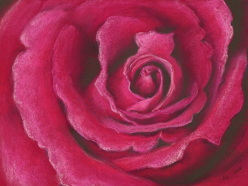 Pink Rose Pastellgemälde von Karen Kaspar