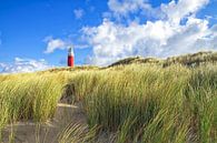 Texel-Leuchtturm von Justin Sinner Pictures ( Fotograaf op Texel) Miniaturansicht