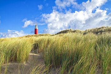 Vuurtoren van Texel / Texel Lighthouse van Justin Sinner Pictures ( Fotograaf op Texel)