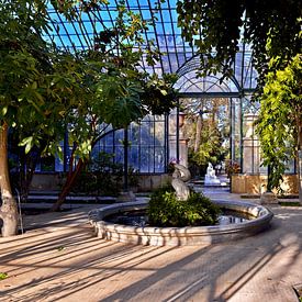 Serre ensoleillée du jardin botanique de Palerme sur Silva Wischeropp
