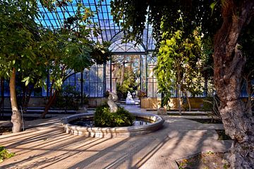 Sunny greenhouse in the Palermo Botanical Garden by Silva Wischeropp