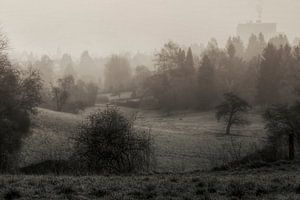 Fog in the morning sur Carina Buchspies