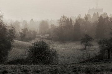 Fog in the morning van Carina Buchspies