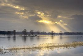 Merwede floodplains by Wim den Besten