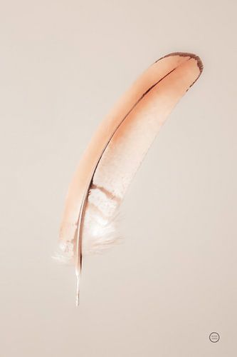 Floating Feathers III, Nathan Larson