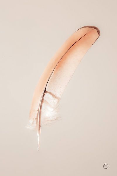 Drijvende veren III, Nathan Larson van Wild Apple