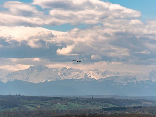 Vogel in de lucht met bergen op de achtergrond