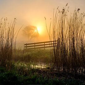 Zonsopkomst in Hasselt van Eddy Westdijk
