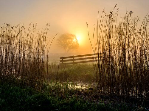 Zonsopkomst in Hasselt van Eddy Westdijk