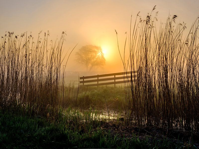 Lever de soleil à Hasselt par Eddy Westdijk