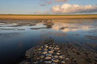 Waddenzee bij Westhoek