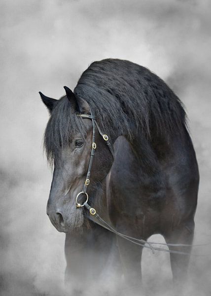 Paard In Mist van Diana van Tankeren