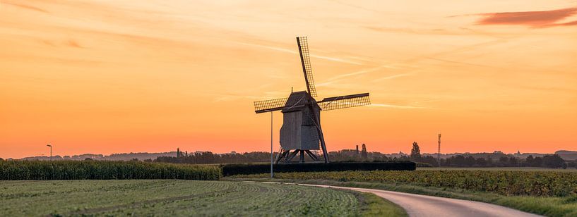 Vinkemolen is een windmolen van Marcel Derweduwen