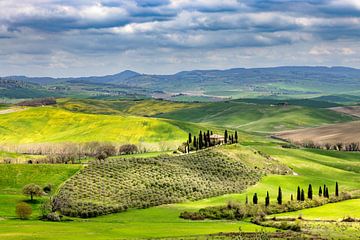 Lente in de Val d'Orcia van Dirk Rüter