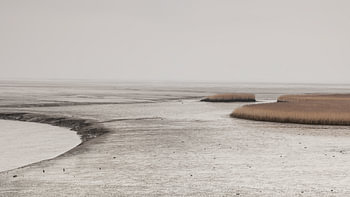 Low tide at New |State Side