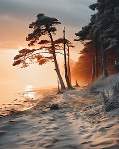 Sonnenaufgang am Meer
