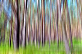 Abstract dennenbos 