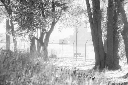 Une photo en noir et blanc d'un matin brumeux sur Zaankanteropavontuur
