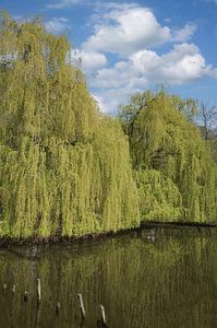 im Schwalm-Nette Naturpark,Niederrhein