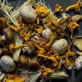 Stilleben Pilze von Ashkan Mortezapour Photography