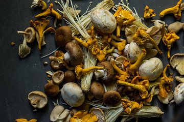 Paddestoelen Stilleven - Mushroom Still Life - Food Photography van Ashkan Mortezapour Photography