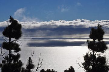 MADEIRA 1 von Miroslav Ptacek