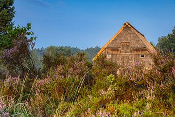 Schafstall in der Lüneburger Heide von Daniela Beyer