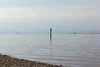 Bodensee betovering: palen in het water