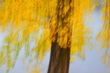 JOUR D'AUTOMNE 6 sur Miroslav Ptacek