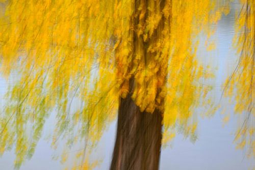 JOUR D'AUTOMNE 6