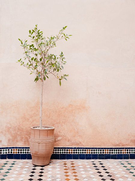 Pastel-coloured interiors in Morocco by Photolovers reisfotografie