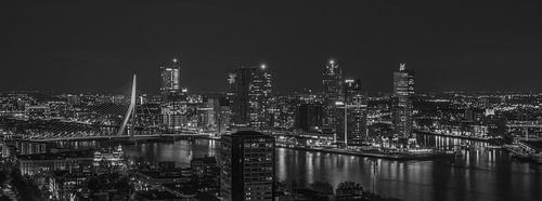 Het uitzicht op de skyline van Rotterdam