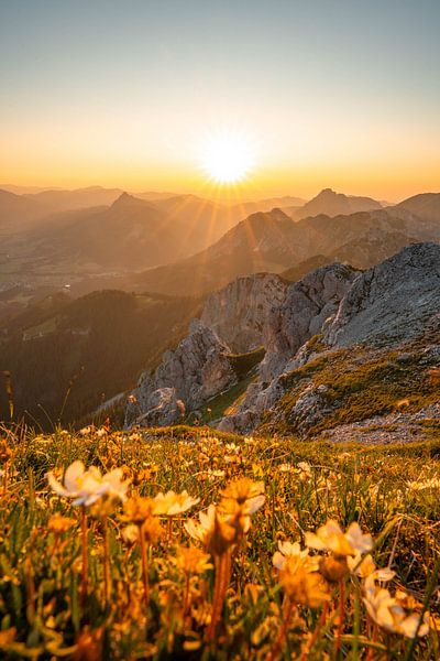 flowery view of the Tannheim &amp; Allgäu Alps at sunset by Leo Schindzielorz