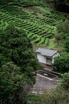 Cottage among forests and tea fields by Mickéle Godderis