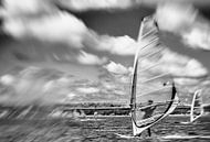 windsurfen op de Grevelingen van Irene Lommers thumbnail