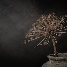 Stilleven met grote gedroogde berenklauw in grijze stenen kruik (panorama) van Mayra Fotografie