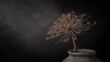 Stilleven met grote gedroogde berenklauw in grijze stenen kruik (panorama) van Mayra Fotografie