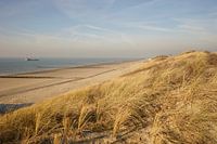 Duinlandschap