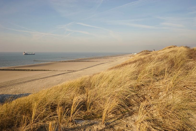 Duinlandschap van Marja van Noort